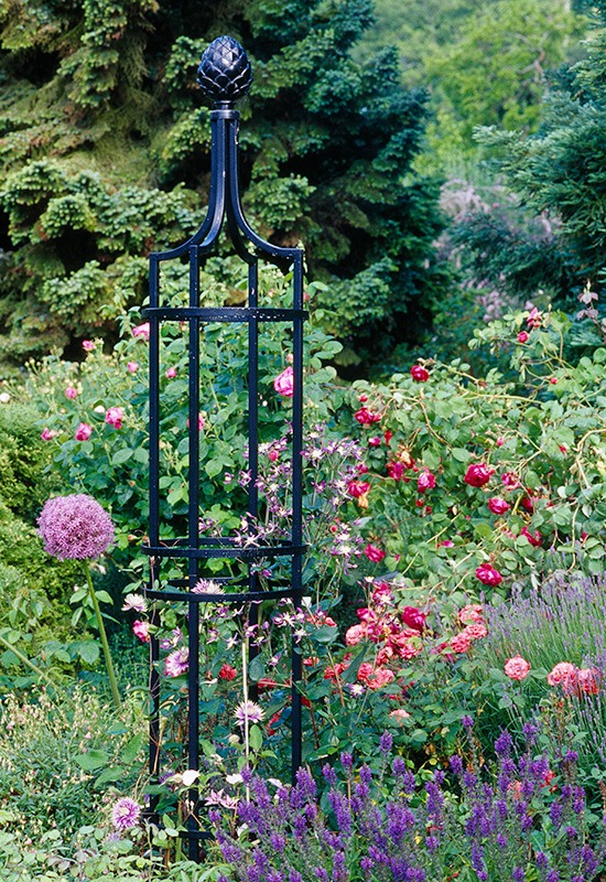 Decorative iron fence design